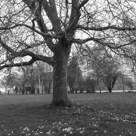 アパート De L'aumondiere *