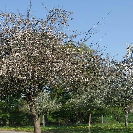 アパート De L'aumondiere