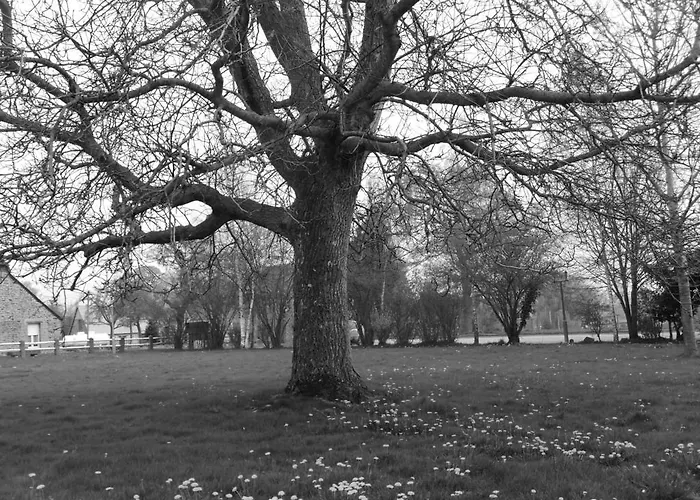 Appartamento De L'aumondière *