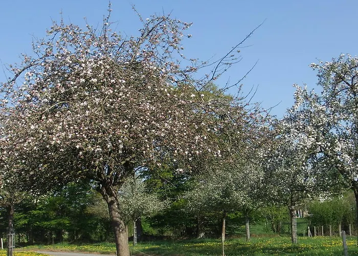 Appartamento De L'aumondière