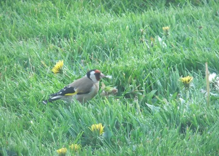 Appartamento De L'aumondière