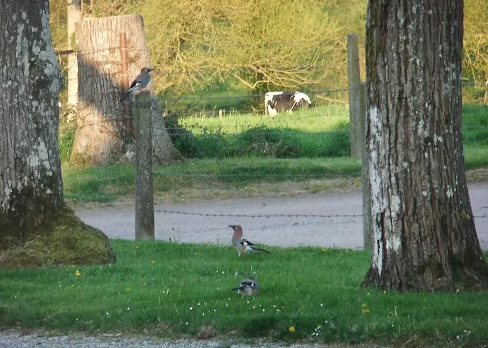 De L'aumondière Appartamento